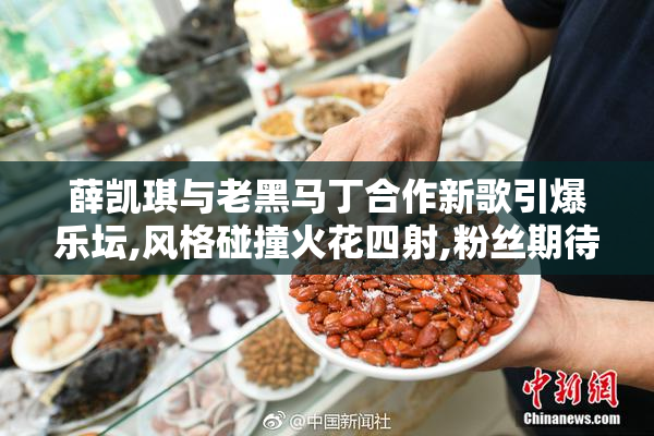 薛凯琪与老黑马丁合作新歌引爆乐坛,风格碰撞火花四射,粉丝期待值