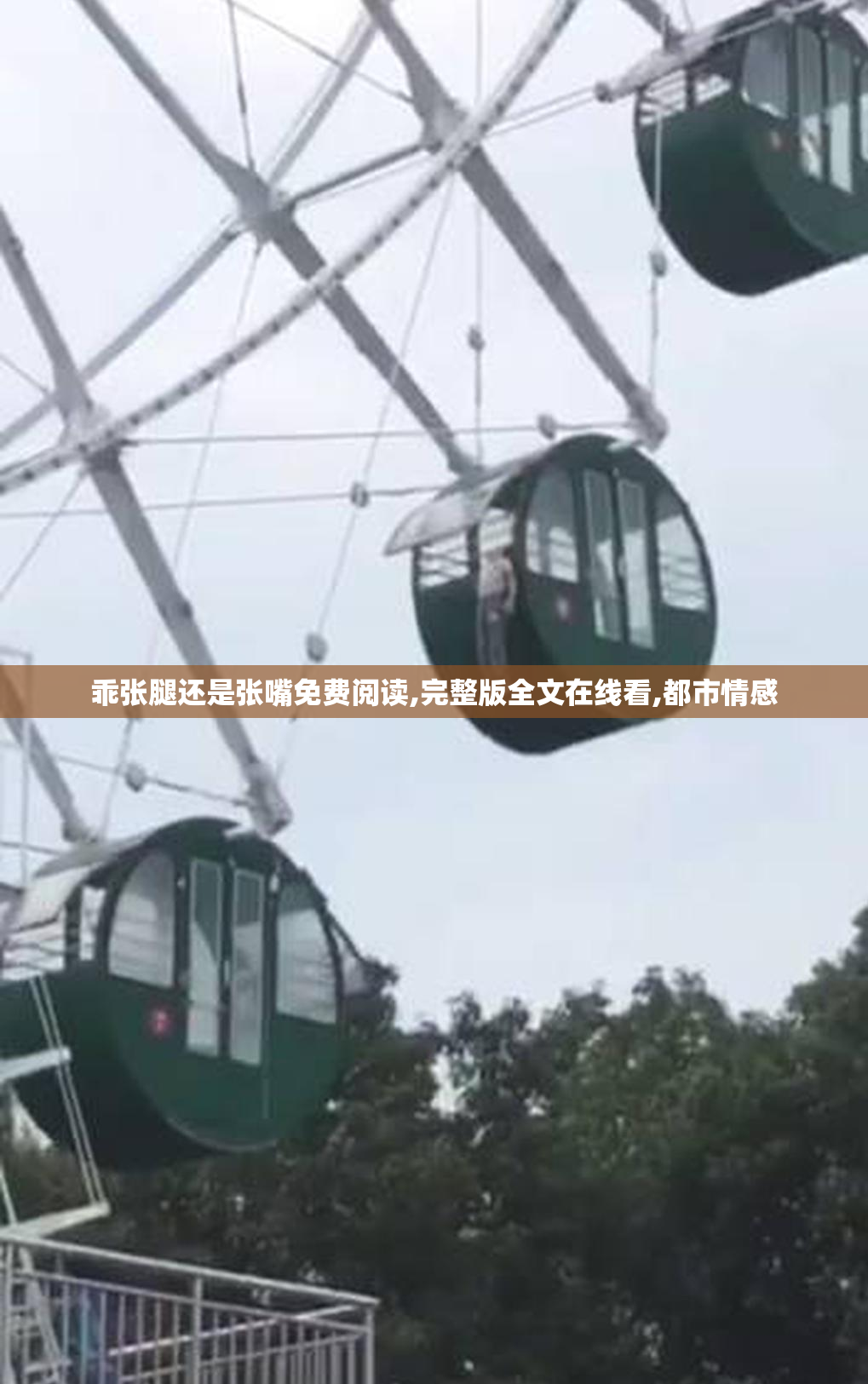 乖张腿还是张嘴免费阅读,完整版全文在线看,都市情感