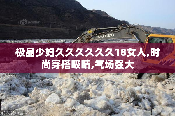 极品少妇久久久久久久18女人,时尚穿搭吸睛,气场强大