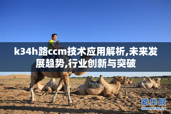 k34h路ccm技术应用解析,未来发展趋势,行业创新与突破