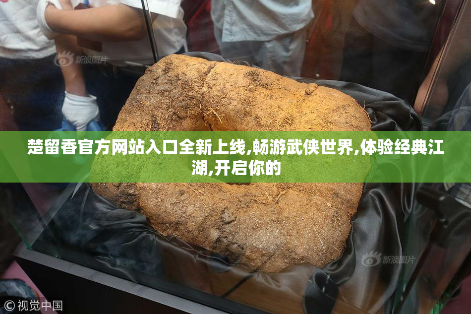 楚留香官方网站入口全新上线,畅游武侠世界,体验经典江湖,开启你的