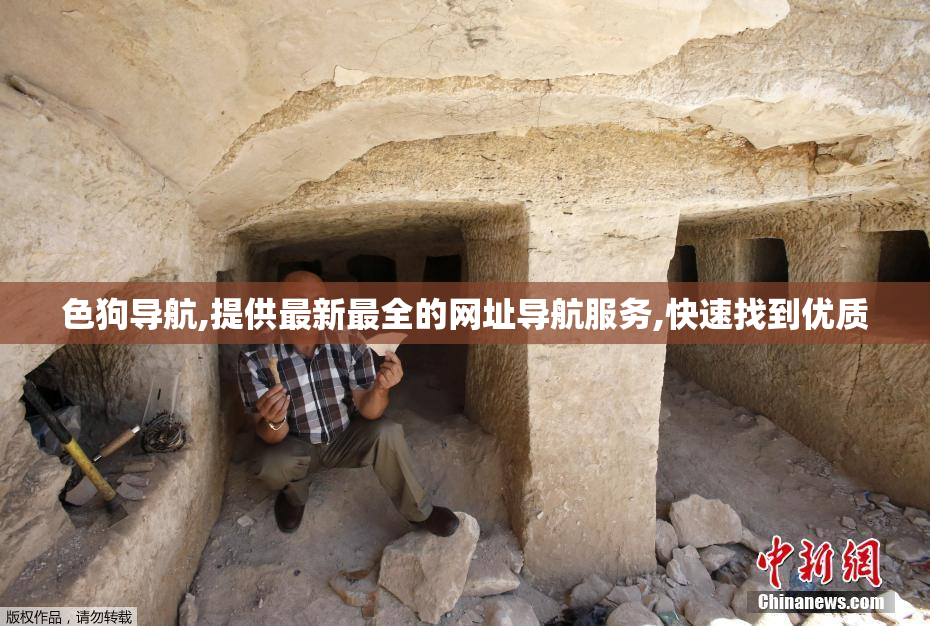 色狗导航,提供最新最全的网址导航服务,快速找到优质
