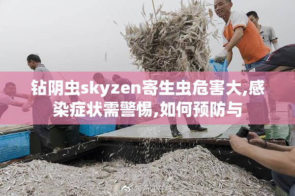 钻阴虫skyzen寄生虫危害大,感染症状需警惕,如何预防与