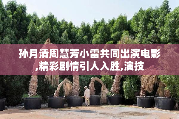孙月清周慧芳小雷共同出演电影,精彩剧情引人入胜,演技