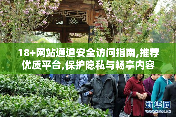18+网站通道安全访问指南,推荐优质平台,保护隐私与畅享内容