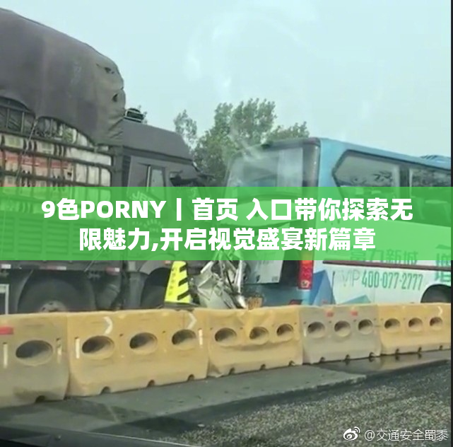 9色PORNY丨首页 入口带你探索无限魅力,开启视觉盛宴新篇章