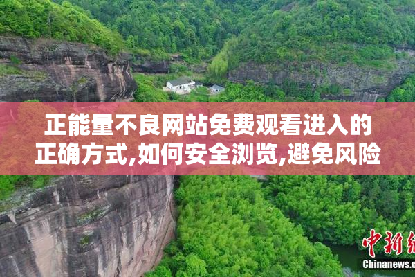 正能量不良网站免费观看进入的正确方式,如何安全浏览,避免风险