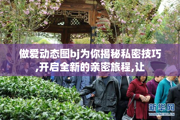 做爱动态图bj为你揭秘私密技巧,开启全新的亲密旅程,让
