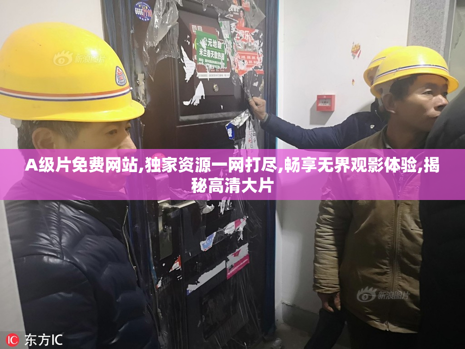 A级片免费网站,独家资源一网打尽,畅享无界观影体验,揭秘高清大片