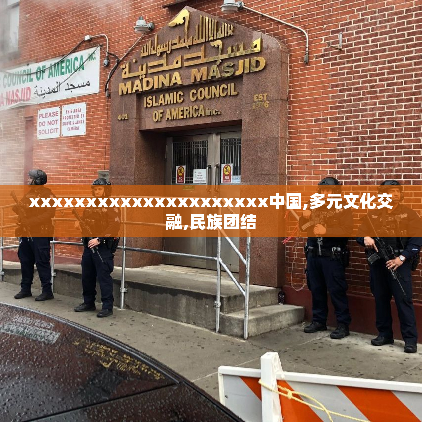 xxxxxxxxxxxxxxxxxxxxx中国,多元文化交融,民族团结