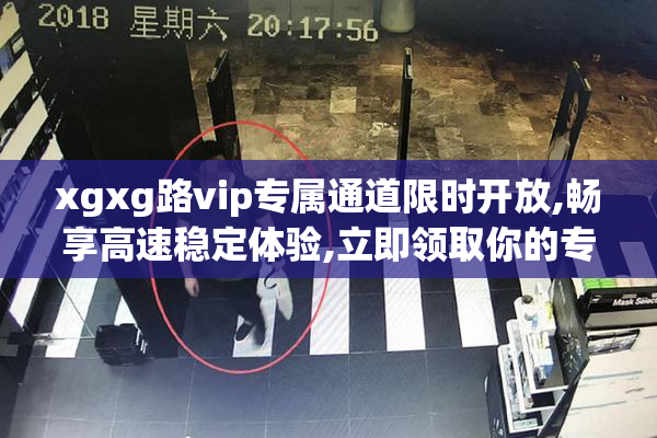 xgxg路vip专属通道限时开放,畅享高速稳定体验,立即领取你的专属福利