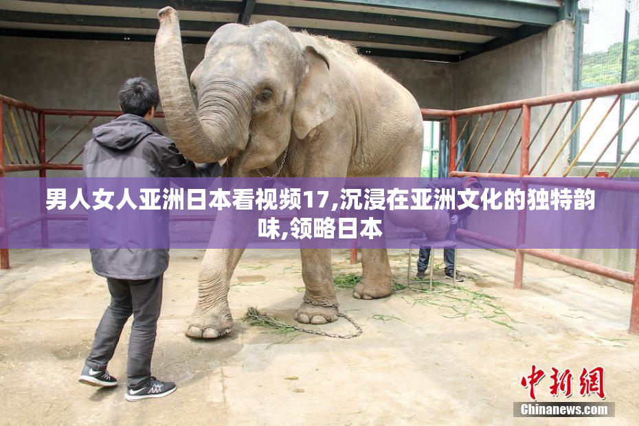 男人女人亚洲日本看视频17,沉浸在亚洲文化的独特韵味,领略日本