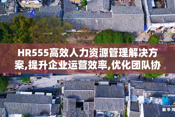 HR555高效人力资源管理解决方案,提升企业运营效率,优化团队协作流程