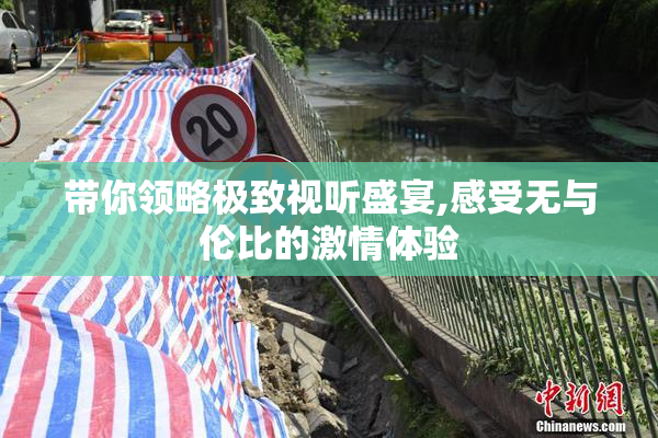 带你领略极致视听盛宴,感受无与伦比的激情体验