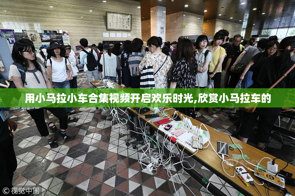 用小马拉小车合集视频开启欢乐时光,欣赏小马拉车的