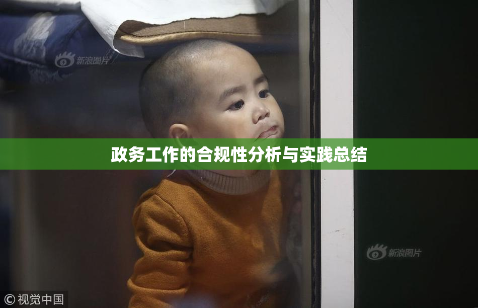 政务工作的合规性分析与实践总结