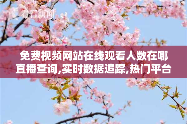 免费视频网站在线观看人数在哪直播查询,实时数据追踪,热门平台