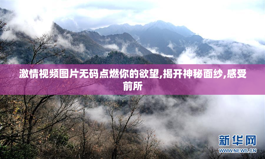 激情视频图片无码点燃你的欲望,揭开神秘面纱,感受前所