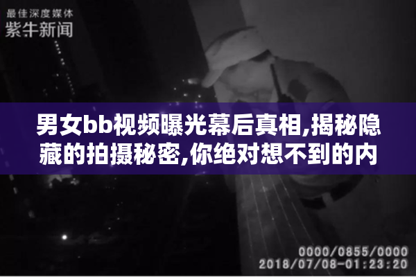男女bb视频曝光幕后真相,揭秘隐藏的拍摄秘密,你绝对想不到的内幕