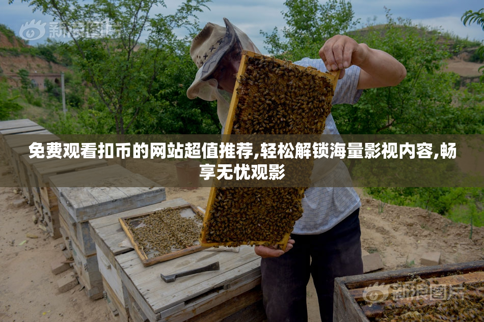 免费观看扣币的网站超值推荐,轻松解锁海量影视内容,畅享无忧观影