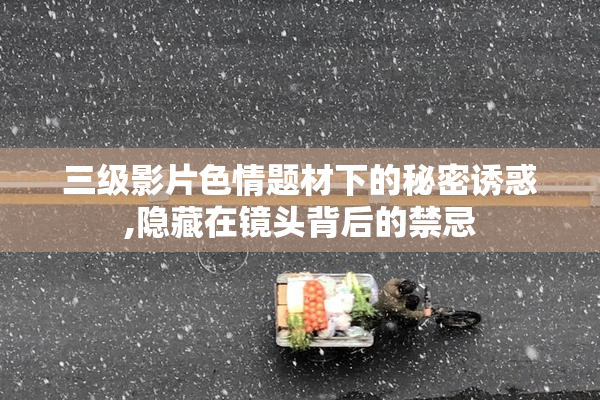 三级影片色情题材下的秘密诱惑,隐藏在镜头背后的禁忌