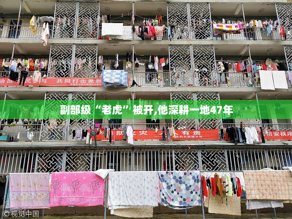 副部级“老虎”被开,他深耕一地47年