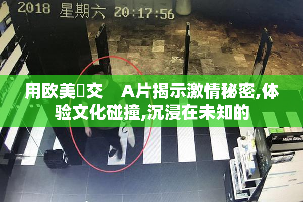用欧美嘼交    A片揭示激情秘密,体验文化碰撞,沉浸在未知的