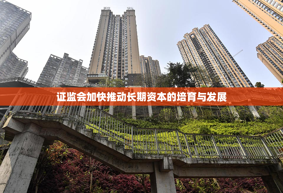 证监会加快推动长期资本的培育与发展