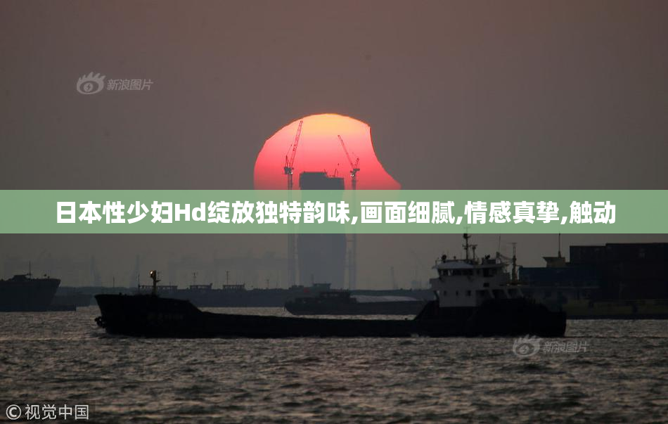 日本性少妇Hd绽放独特韵味,画面细腻,情感真挚,触动