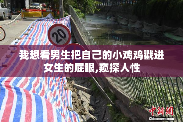 我想看男生把自己的小鸡鸡戳进女生的屁眼,窥探人性