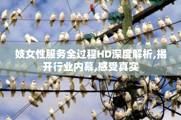 妓女性服务全过程HD深度解析,揭开行业内幕,感受真实