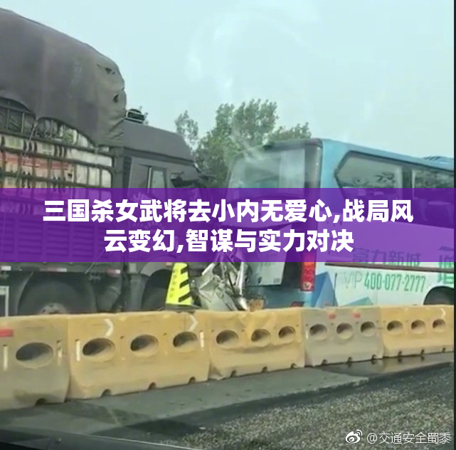 三国杀女武将去小内无爱心,战局风云变幻,智谋与实力对决