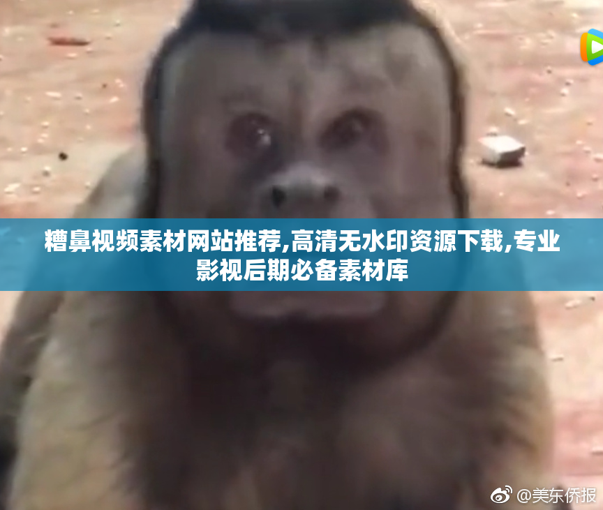 糟鼻视频素材网站推荐,高清无水印资源下载,专业影视后期必备素材库