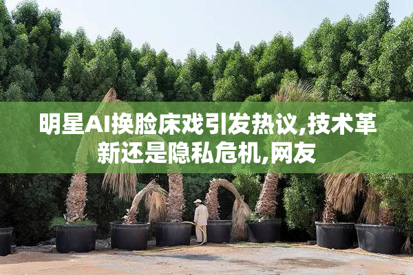 明星AI换脸床戏引发热议,技术革新还是隐私危机,网友