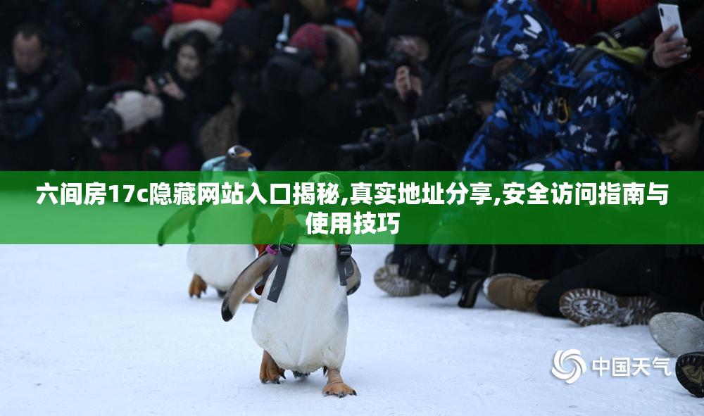 六间房17c隐藏网站入口揭秘,真实地址分享,安全访问指南与使用技巧