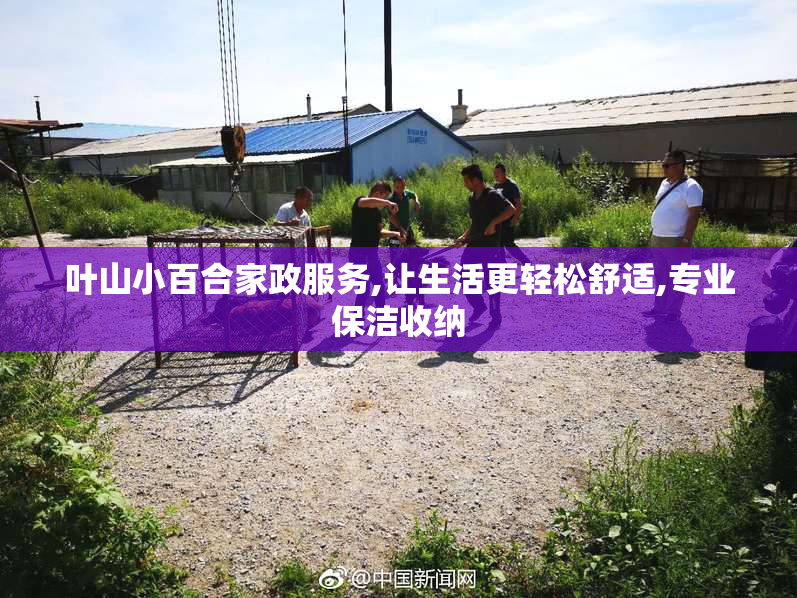 叶山小百合家政服务,让生活更轻松舒适,专业保洁收纳