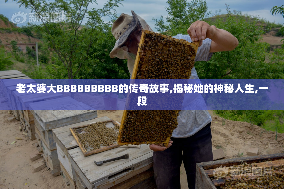 老太婆大BBBBBBBBB的传奇故事,揭秘她的神秘人生,一段