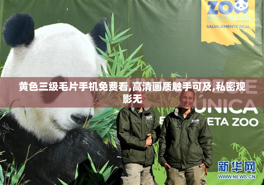 黄色三级毛片手机免费看,高清画质触手可及,私密观影无