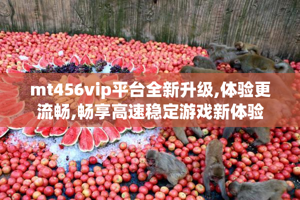 mt456vip平台全新升级,体验更流畅,畅享高速稳定游戏新体验