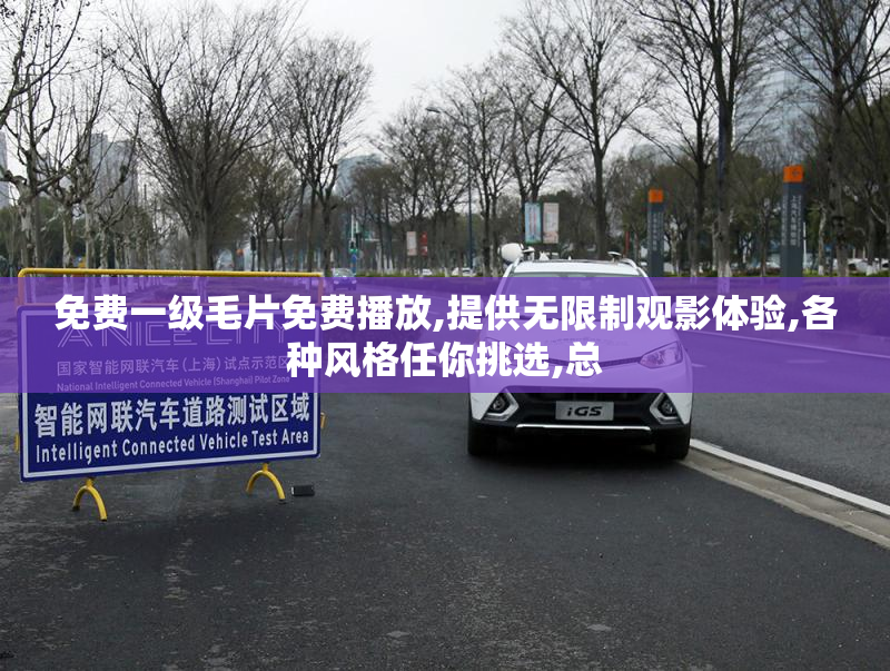 免费一级毛片免费播放,提供无限制观影体验,各种风格任你挑选,总