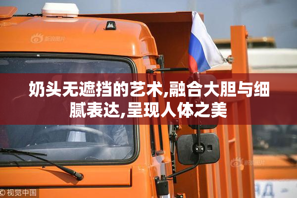 奶头无遮挡的艺术,融合大胆与细腻表达,呈现人体之美