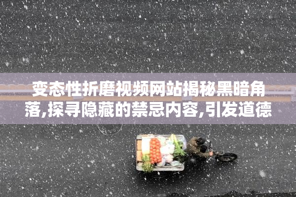 变态性折磨视频网站揭秘黑暗角落,探寻隐藏的禁忌内容,引发道德与