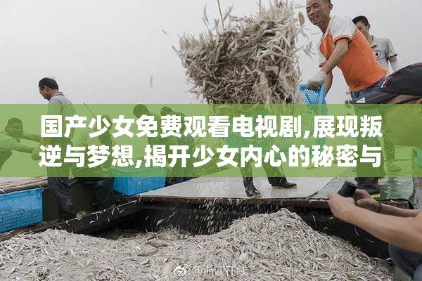 国产少女免费观看电视剧,展现叛逆与梦想,揭开少女内心的秘密与