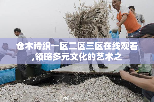 仓木诗织一区二区三区在线观看,领略多元文化的艺术之