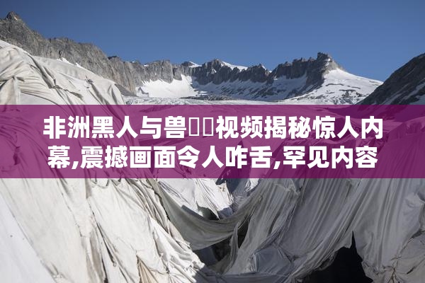 非洲黑人与兽肏屄视频揭秘惊人内幕,震撼画面令人咋舌,罕见内容