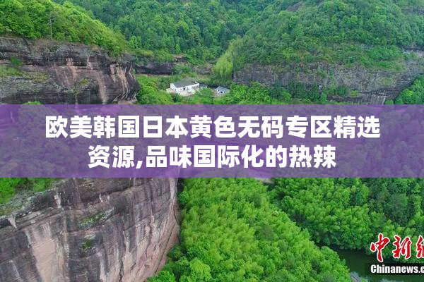 欧美韩国日本黄色无码专区精选资源,品味国际化的热辣