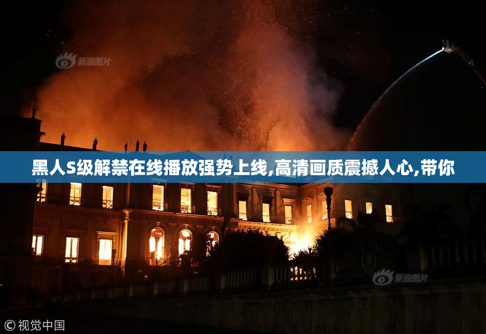 黑人S级解禁在线播放强势上线,高清画质震撼人心,带你