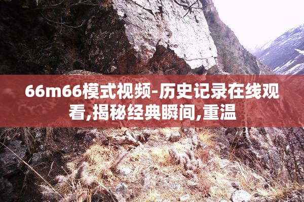 66m66模式视频-历史记录在线观看,揭秘经典瞬间,重温