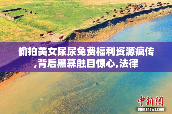 偷拍美女尿尿免费福利资源疯传,背后黑幕触目惊心,法律