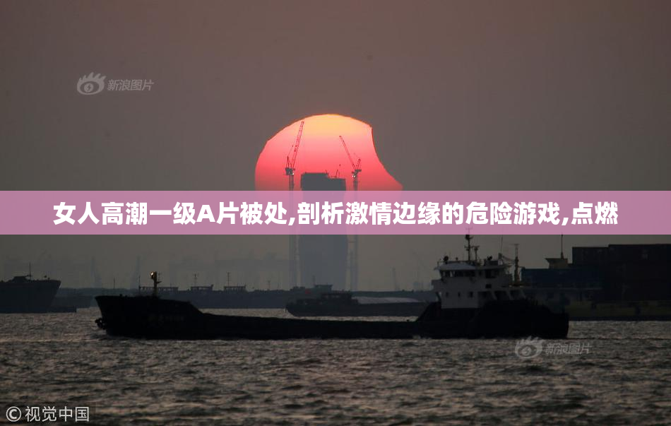 女人高潮一级A片被处,剖析激情边缘的危险游戏,点燃